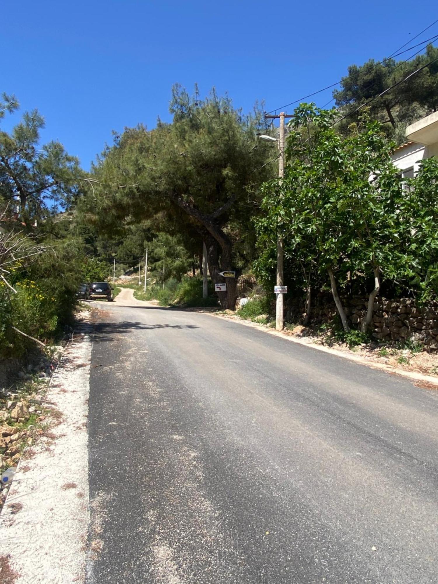 סרנדה Vila Sinani מראה חיצוני תמונה